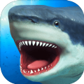 鯊魚模擬器游戏