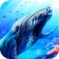 蓝鲸海洋生物模拟3D游戏安卓版下载 v1.0.0