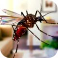 蚊子家庭生活模拟器3D游戏