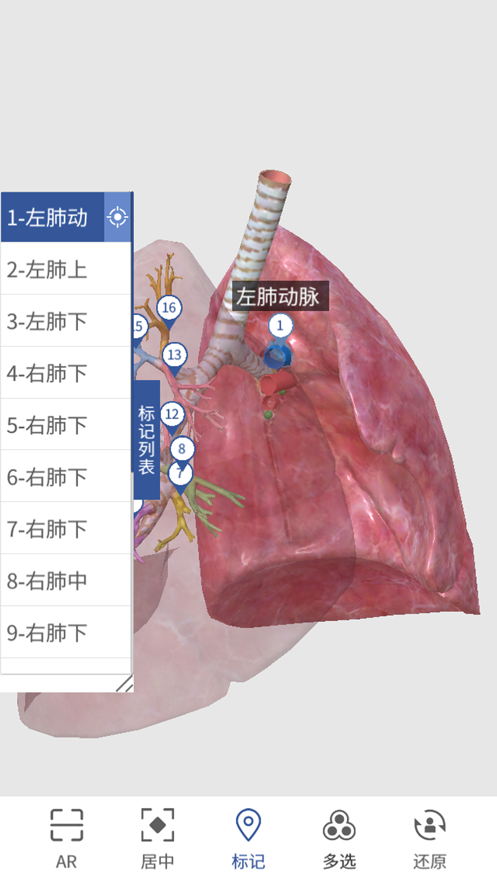 3D人体解剖图谱app图1