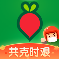 叮咚买菜app下载苹果最新版 v10.15.1