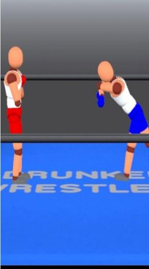 醉拳摔跤双人游戏下载手机版图2: