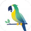 鹦鹉快讯app安卓版 v1.0.0