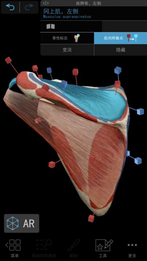 2024人体解剖学图谱app下载安装官方最新版本图片1