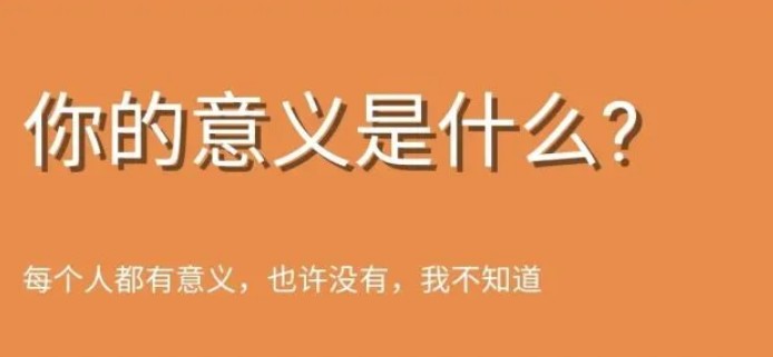 wtfhiigaranet测试官方中文版（你的意义是什么）图3: