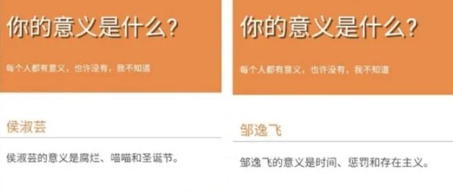 wtfhiigaranet测试官方中文版（你的意义是什么）图2: