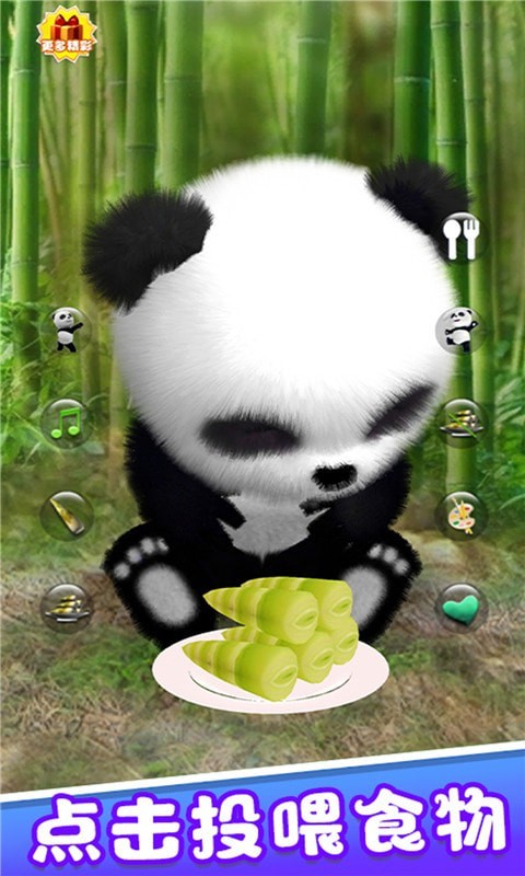 宠物熊猫模拟器游戏中文版图3: