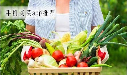 西安买菜app＿西安买菜软件哪个好＿西安买菜送菜app哪个好
