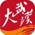 大武汉app官方版 v7.4.4