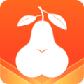 pear雪梨app下载2024