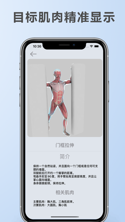 拉伸解剖软件app图片4