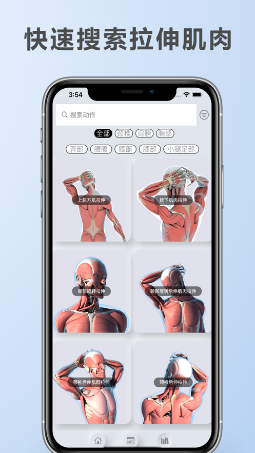 拉伸解剖软件app图片3