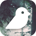 Bird Photography app