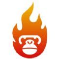 猴子探站app最新官方