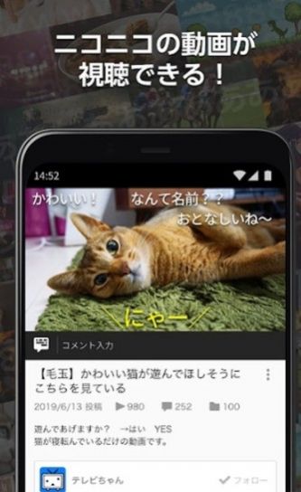 日本b站app中文免费版图1: