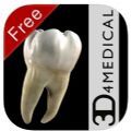 Dental Patient Education Lite口腔医学app