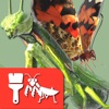 昆虫三维文件app