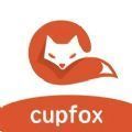 cupfox茶杯狐2024