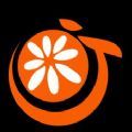 橘子视频美化app