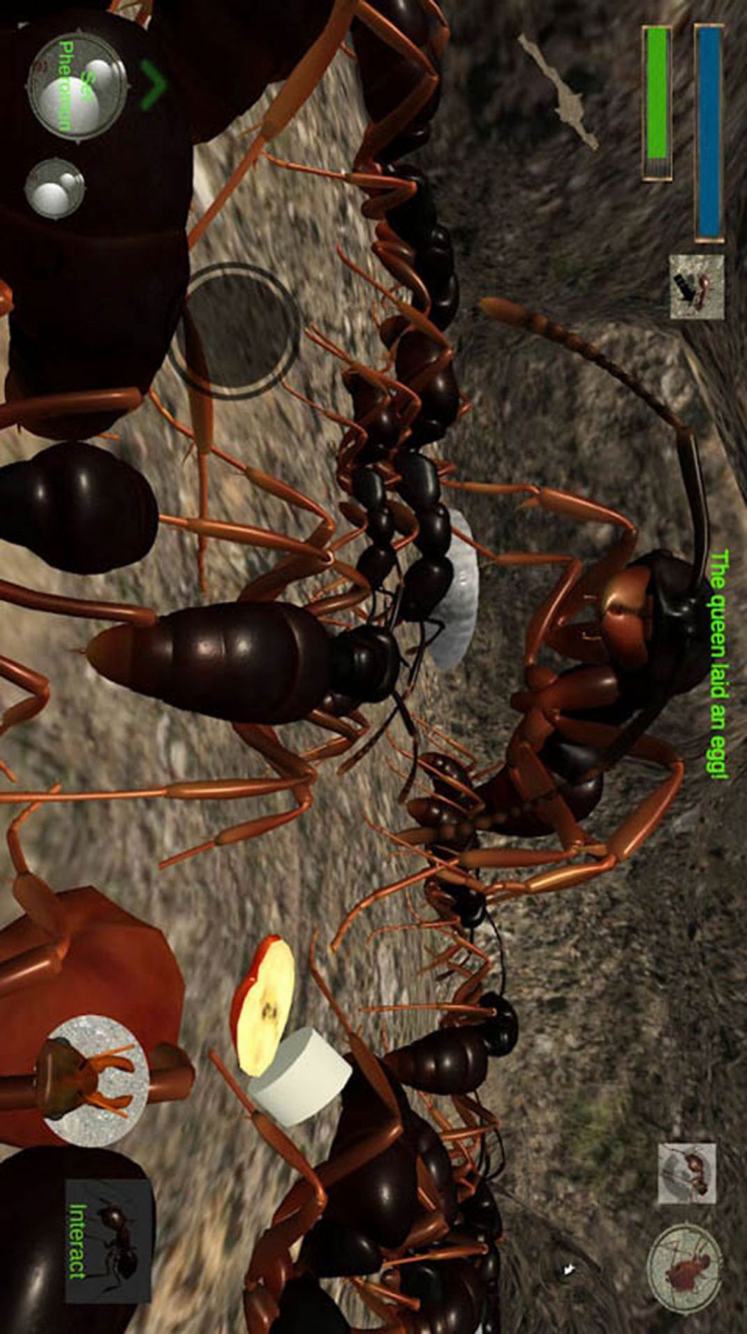 蚂蚁求生模拟器游戏手机版图1: