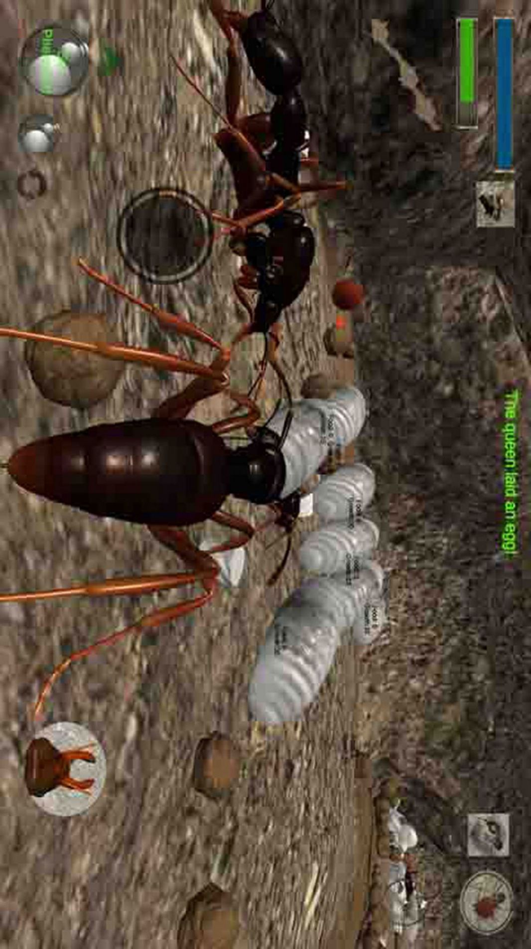 蚂蚁求生模拟器游戏手机版图片1
