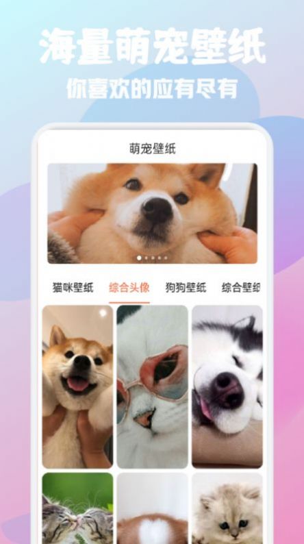 猫狗语宠物翻译器app手机版图2: