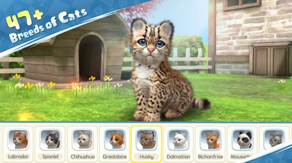 梦幻小猫游戏最新官方版图3: