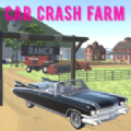 车祸农场游戏