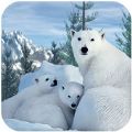 北極熊家庭生存游戲