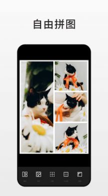 aisiphoto小甜豆app软件最新版图3: