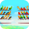 鸟类颜色拼图游戏
