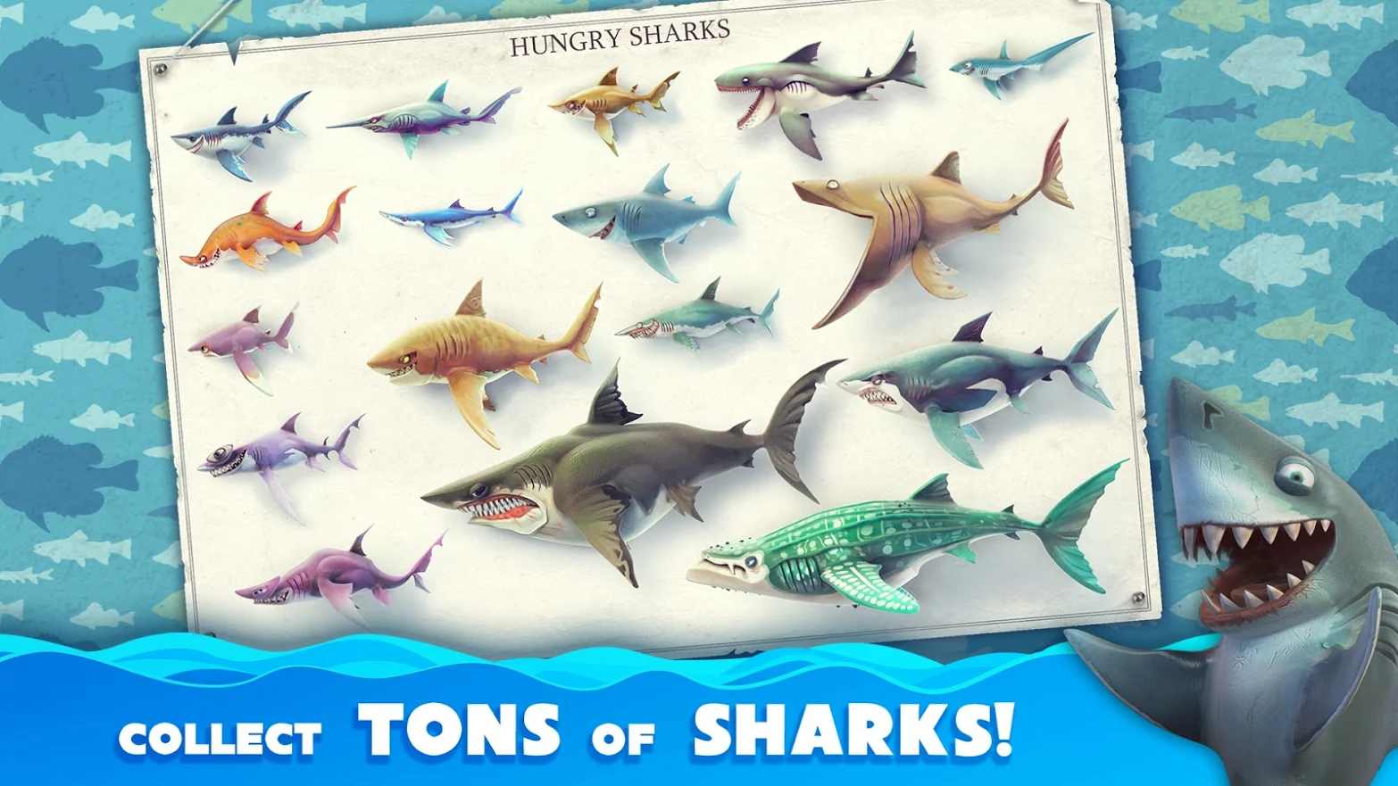 饥饿鲨世界国际版新鲨鱼下载安装图3: