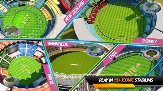 RVG真实板球比赛游戏安卓版图2: