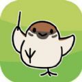 小鳥音樂會游戲安卓版 v1.0.2