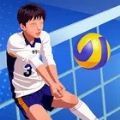 单挑排球游戏中文版 v1.0.2