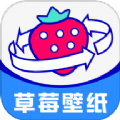 草莓高清壁紙app安卓版 v1.0