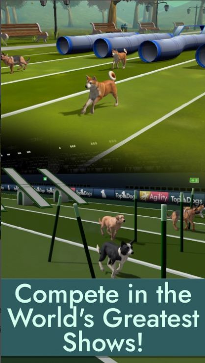 Top Dogs中文版最新游戏图3: