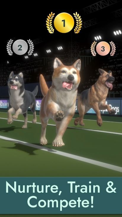 Top Dogs中文版最新游戏图片1