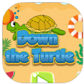 海滩上的乌龟挑战游戏