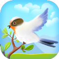 纯真鸟短视频app免费版 v2.3.6